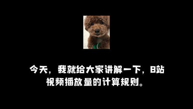 **标题:B站人气飙升秘籍:揭秘热门播放量刷量插件的真相!**