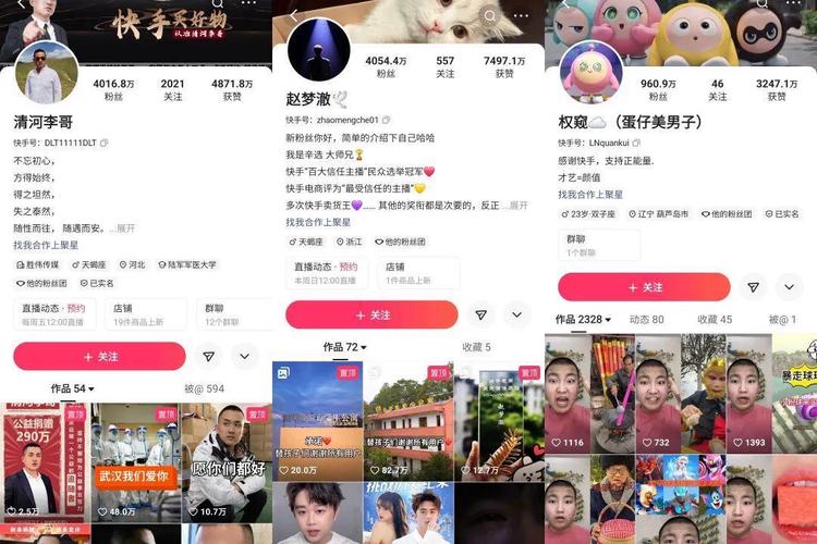 网红必备技能:使用快手刷粉网提升人气