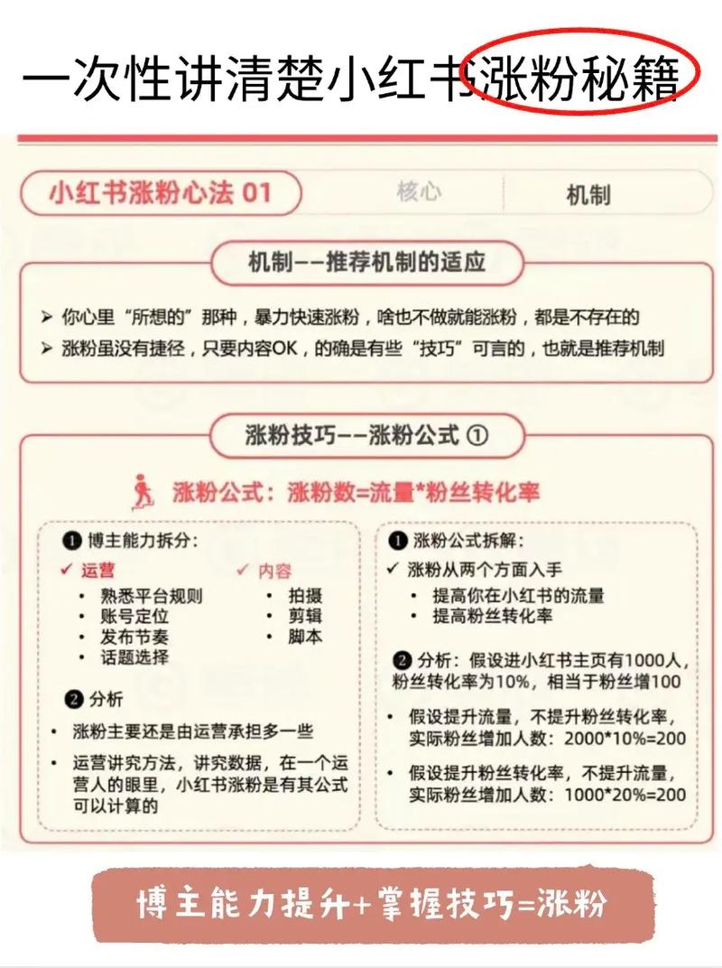 粉丝速增秘诀:小红书买粉攻略大解析