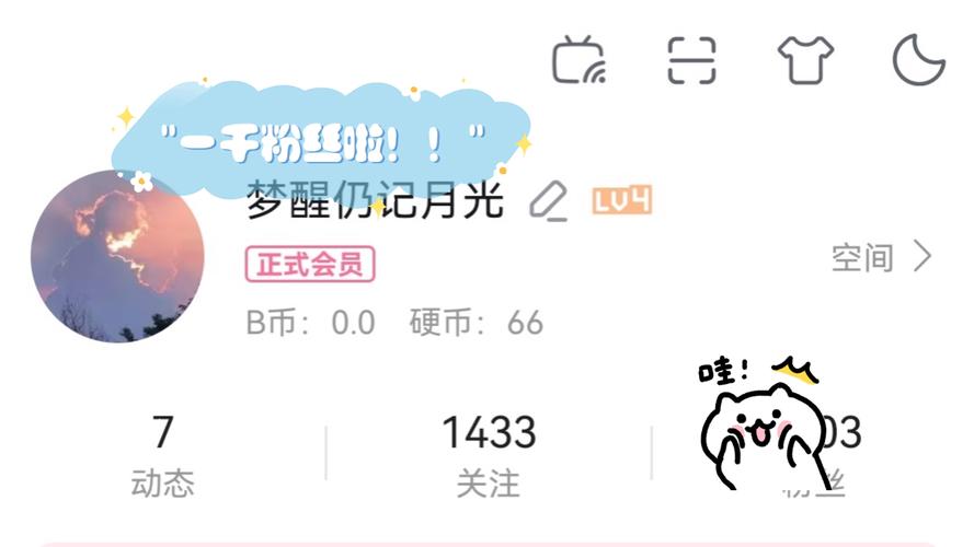 **标题:揭秘小红书“一元千粉”计划,粉丝飙升不再是梦!**