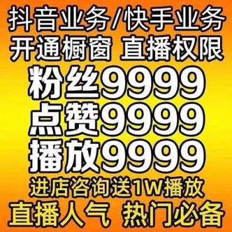快手真人刷粉网站，为你的梦想加速