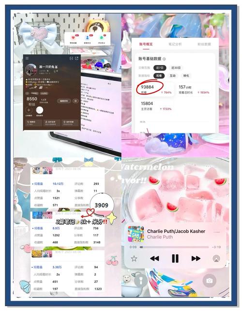 小红书粉丝购买指南:新手必看