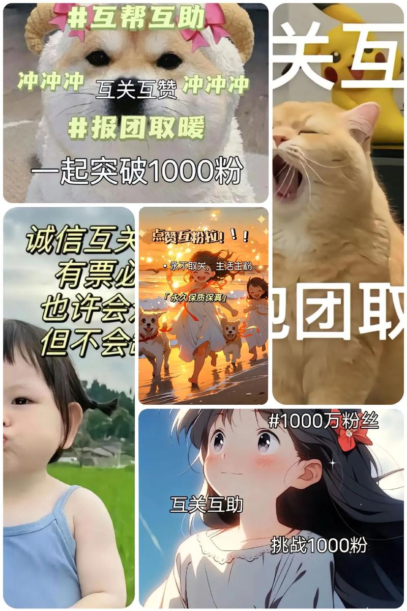 **标题：抖音粉丝数不足？智取千粉，轻松提升你的账号竞争力！**