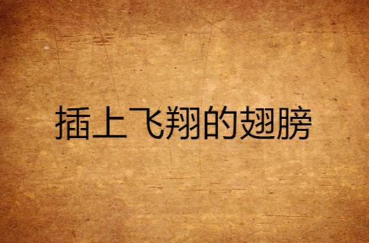 **标题：哔哩哔哩刷播放量新策略，为内容创作者插上腾飞的翅膀！**