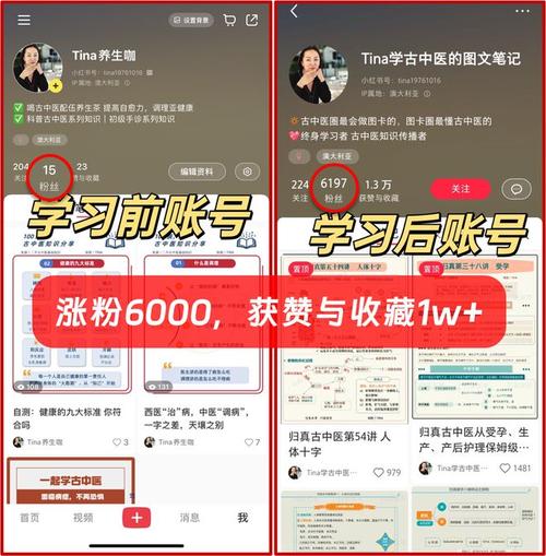 小红书粉丝增长捷径:探究买粉的利与弊