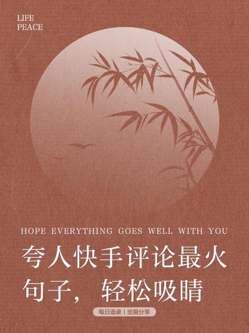 轻松快手刷点赞,让你的作品火遍快手平台