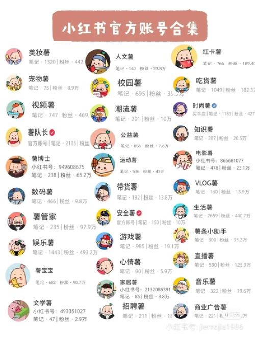 **标题:粉丝经济浪潮下,探秘小红书账号的潜在价值**