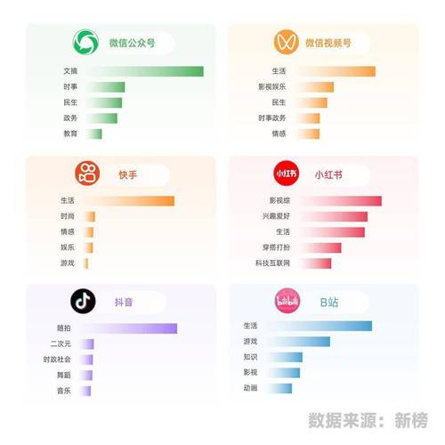 **揭秘B站爆款视频背后的推手:专业播放量提升平台解析**