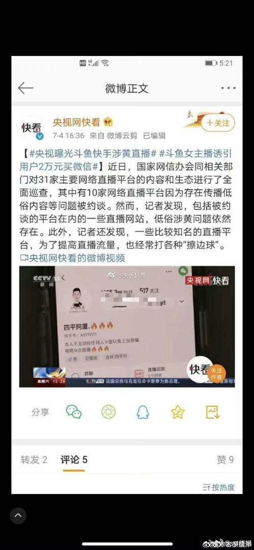 **标题:揭秘快手短视频带刷网:流量洪流的背后奥秘**