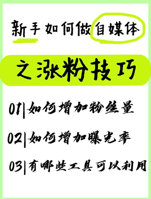 **揭秘小红书粉丝快速增长的秘诀：低成本、高效率的粉丝吸引策略**