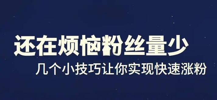 新手也能快速涨粉?揭秘快手电脑版刷粉软件的神奇之处!