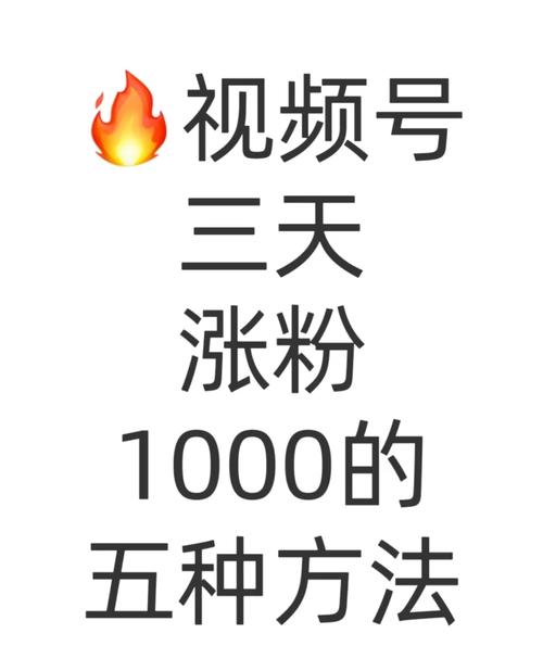 **揭秘哔哩哔哩涨粉秘籍，助你粉丝数飙升！**