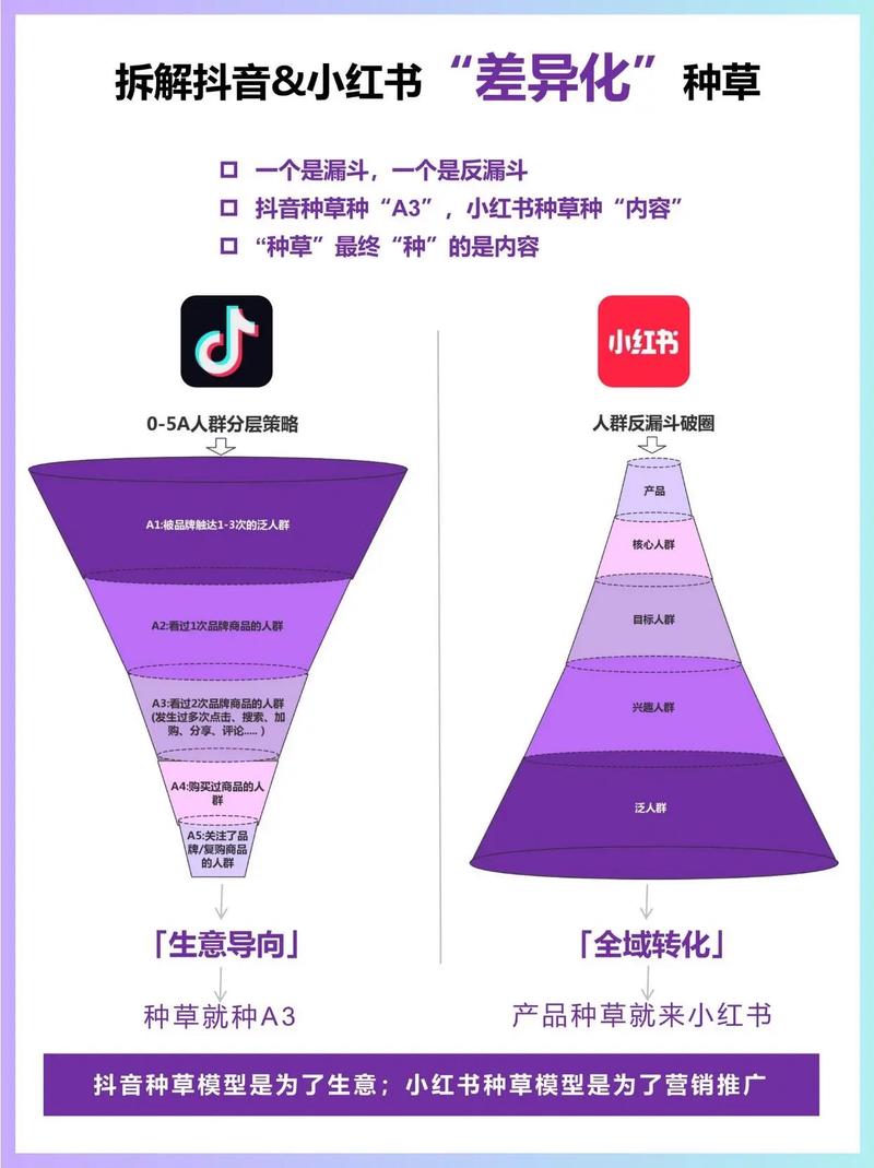 **“小红书粉丝宝地:创意转化的价值乐园”**