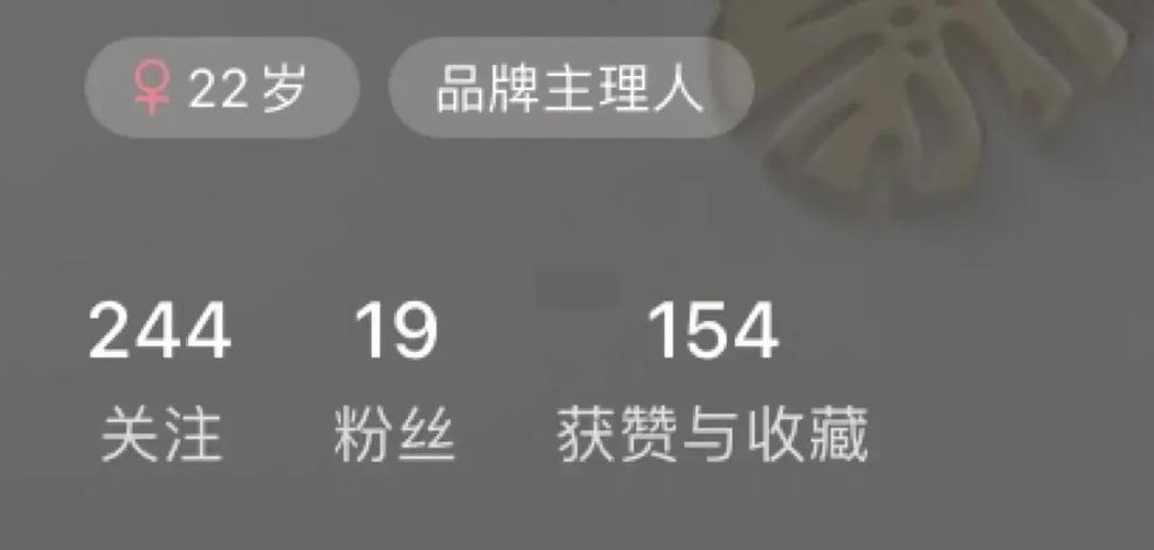 想成为微博红人?试试这款专业刷粉软件吧!