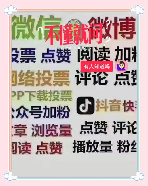 打造网红新势力:专业抖音买粉网站的实力展示