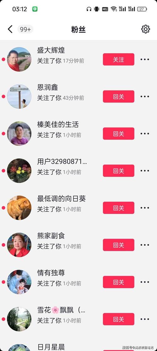 探索微博涨粉的奥秘，带你认识真正有效的刷粉工具。