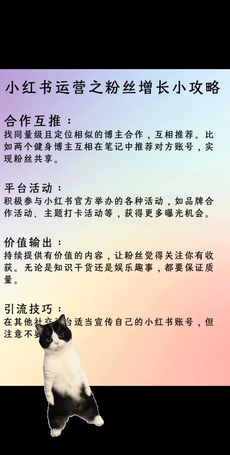 **揭秘微博粉丝飞速增长秘诀:购买平台实战操作指南**