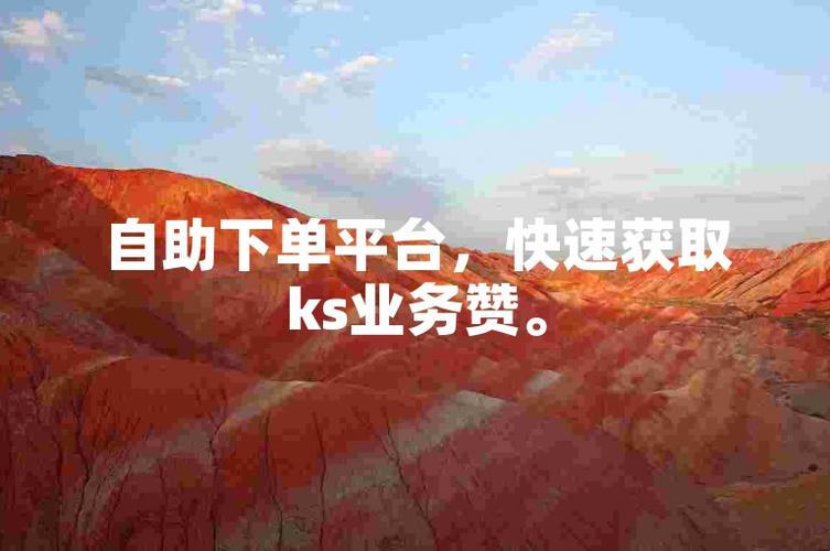 深度解析:为何这款自助下单平台价格最低?