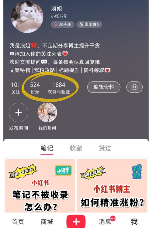 网红养成攻略：小红书粉丝自助购买平台推荐