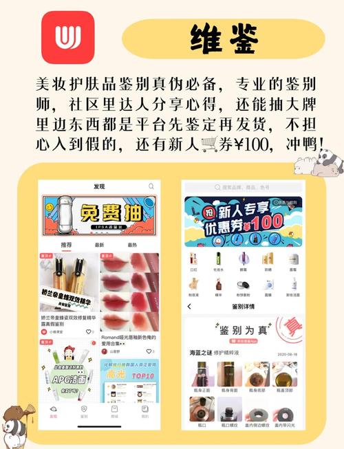 网红养成攻略:小红书粉丝自助购买平台推荐