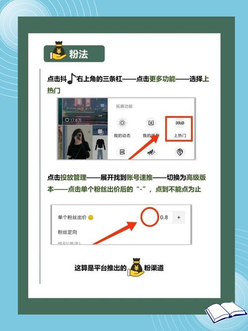 一探究竟:关于快手电脑版刷粉的真相与技巧分享!