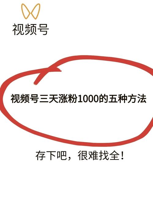 **标题:揭秘视频号爆红秘籍,轻松实现粉丝飙升!**