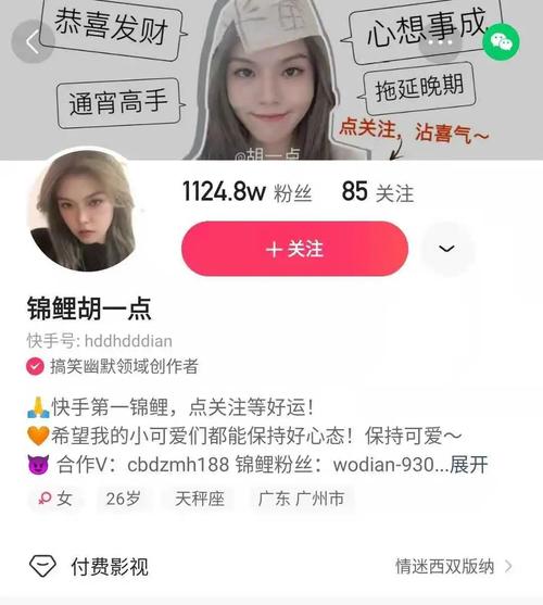 **揭秘快手网红背后的涨粉神器:高效捷径,助你成为人气新星!**