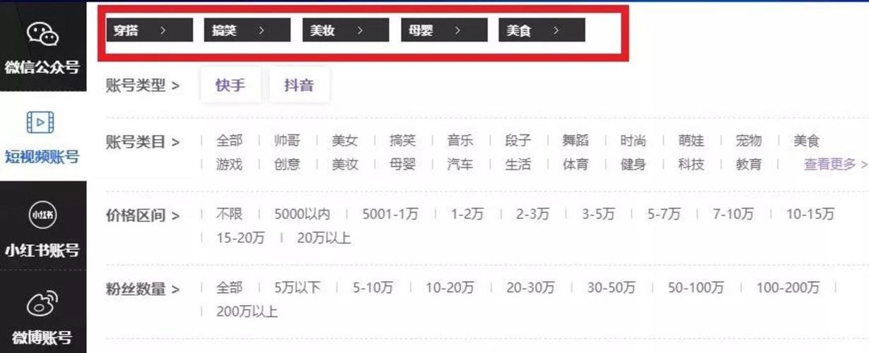 **标题:揭秘抖音粉丝购买平台,助你作品一飞冲天,火遍全网!**