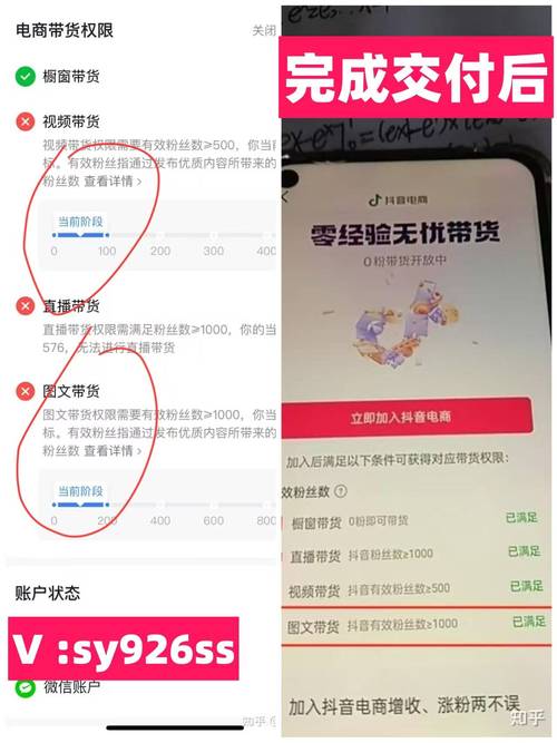 抖音粉丝轻松累积，购买网站助你走向成功