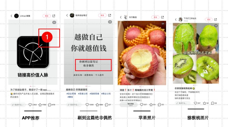 **标题**:小红书关注度提升攻略:实用技巧助你成为热门博主!