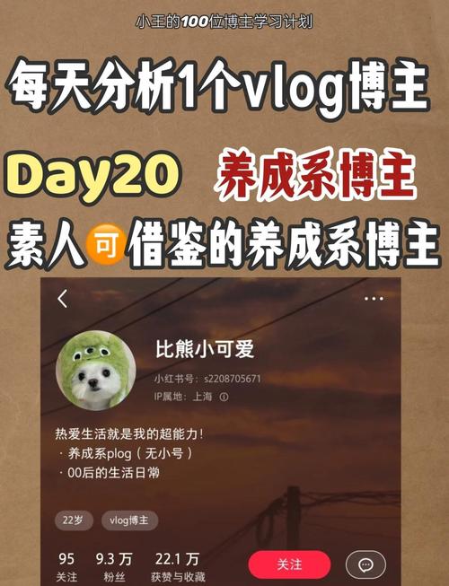 **标题:《从素人到网红:我在小红书的涨粉之旅与心得分享》**