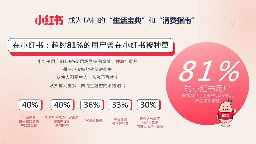 **揭秘小红书粉丝网站背后的运营秘籍：打造社交电商新势力的秘诀**