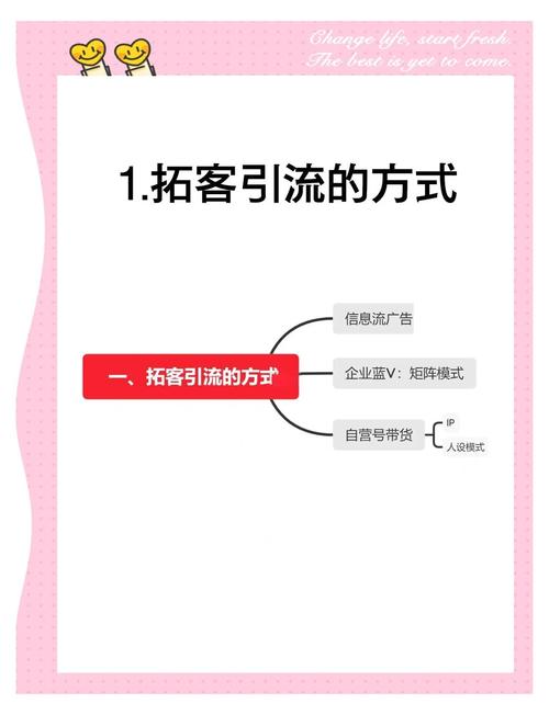 **揭秘小红书粉丝网站背后的运营秘籍:打造社交电商新势力的秘诀**