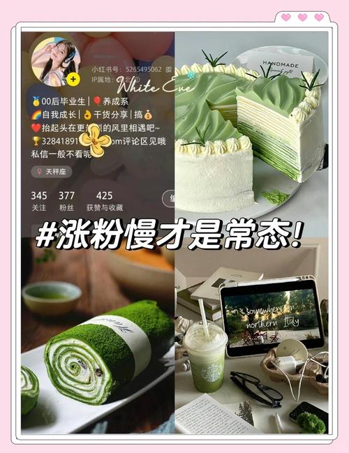微博粉丝增长术:自助刷粉策略揭秘。